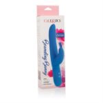 Picture of BOUNDING BUNNY BLUE