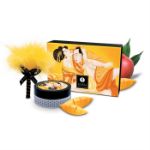 Picture of SHUNGA - Powder - Luscious Mango