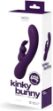 Picture of VEDO KINKY BUNNY PLUS DEEP PURPLE