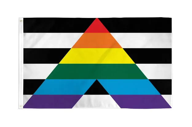 Picture of GAY STRAIGHT ALLIANCE FLAG 3" X 5"
