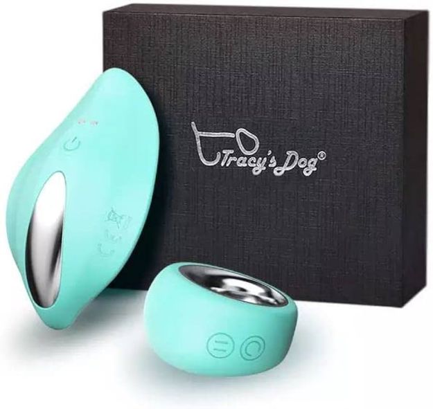 Picture of TRACY'S DOG PANTY REMOTE VIBRATING EGG-TEAL