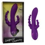 Picture of CALIFORNIA DREAMING LONG BEACH BOOTYLICIOUS