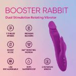 Picture of FemmeFunn Booster Rabbit Purple