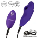 Picture of Lock-N-Play Suction Panty Teaser Purple