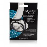 Picture of Calexotics Full Erection Spreader