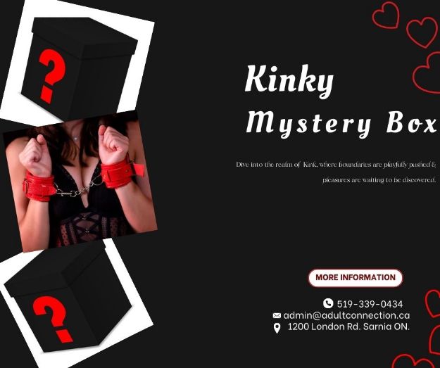 Picture of KINK MYSTERY BOX #1