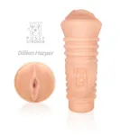 Picture of Hey 19! Stroker Dillion Harper