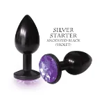 Picture of The Silver Starter Plug Round Black & Violet