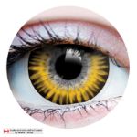 Picture of PRIMAL CONTACT LENSE - TEMPTRESS CHESTNUT
