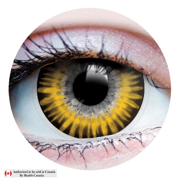Picture of PRIMAL CONTACT LENSE - TEMPTRESS CHESTNUT