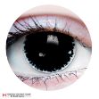 Picture of PRIMA CONTACT LENSES - CHAOS