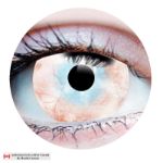Picture of PRIMAL CONTACT LENSES - PLAGUE WHITE MINI SCLERA