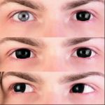 Picture of PRIMAL CONTACT LENSES - BLACK MINI SCLERA