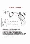 Picture of Shots - ManCage - Model 01 - Chastity - 3.5" - Cock Cage - Transparent  