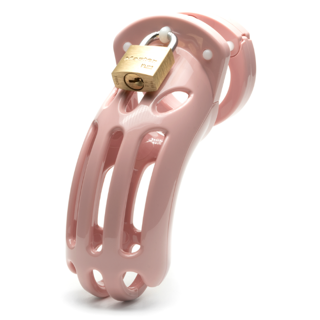 Picture of Chastity Kits - The Curve Pink Kit with 3 3/4" Cage 