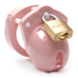 Picture of Chastity Kits - Mini-Me Pink Kit with 1 1/4" Cage Length 