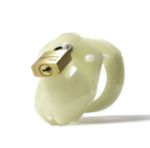 Picture of Chastity Kits - Mini-Me GITD Kit with 1 1/4" Cage Length