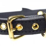 Picture of Master Series Golden Kitty Cat Bell Collar - Black/Gold 