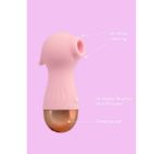 Picture of Euphoria Air Pulse Vibrator Pink Valentine