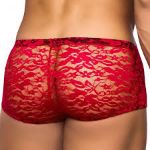 Picture of MALE POWER STRETCH LACE MINI SHORT RED - XL