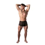 Picture of Male Power Show Stopper Mini Short Silver Mesh Dot - Large