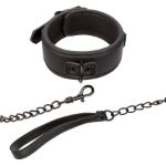 Picture of Nocturnal Collection Collar & Leash 