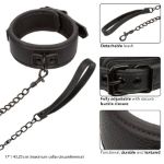 Picture of Nocturnal Collection Collar & Leash 