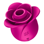 Picture of SATISFYER PRO 2 MODERN BLOSSOM